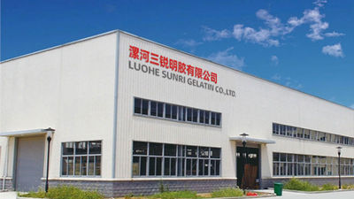 Chiny Luohe Sunri Gelatin Co.,LTD. profil firmy