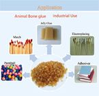 OEM Stable Animal Bone Gelatin Fish Eyes Glue การใช้งานในอุตสาหกรรม